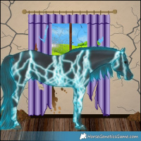 Horse Color:Thunderstruck Black 