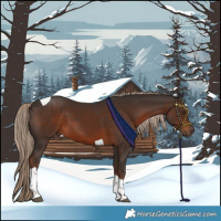 Horse Color:Liver Chestnut Tobiano 