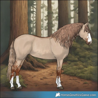 Horse Color:Red Dun Rabicano 