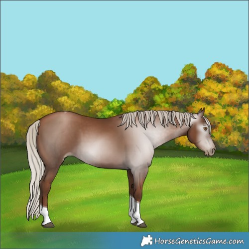 Horse Color:Gray Silver Black Pearl Tobiano 