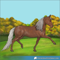Horse Color:Silver Black 