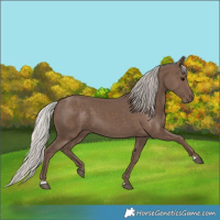 Horse Color:Silver Black 