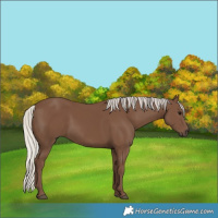 Horse Color:Silver Black 