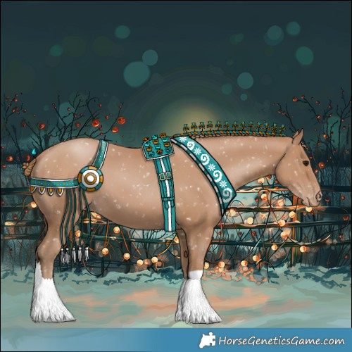 Horse Color:Black Pearl Appaloosa