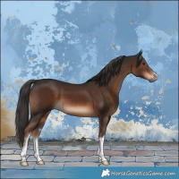 Horse Color:White Spotted Liver Chestnut 