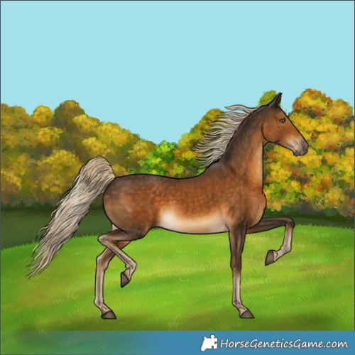 Horse Color:White Spotted Chocolate Palomino 