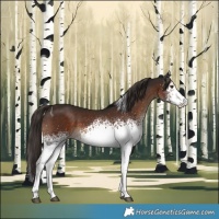 Horse Color:White Spotted Liver Chestnut Tobiano 