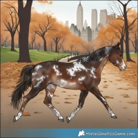 Horse Color:White Spotted Liver Chestnut 