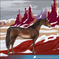 Horse Color:White Spotted Liver Chestnut