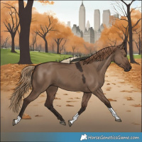 Horse Color:Liver Red Dun Tobiano