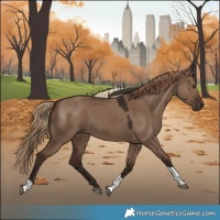 Horse Color:Liver Red Dun Tobiano 