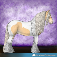 Horse Color:Palomino Tobiano