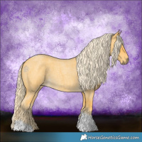 Horse Color:Palomino Roan Tobiano 