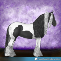 Horse Color:Black Tobiano 