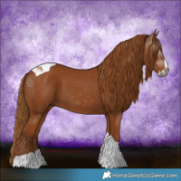Horse Color:Gray Chestnut Splash Tobiano 