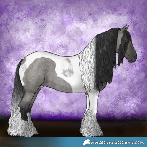 Horse Color:Grullo Roan Tobiano 