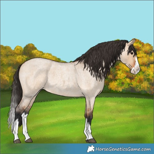Horse Color:Bay Roan Dun Splash 