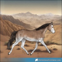 Horse Color:White Spotted Liver Red Dun 