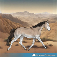 Horse Color:White Spotted Liver Red Dun 