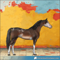 Horse Color:White Spotted Liver Chestnut Tobiano