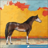 Horse Color:White Spotted Liver Chestnut Tobiano 