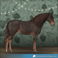 Horse Color:Liver Chestnut 