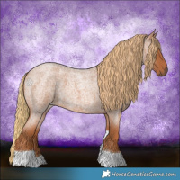 Horse Color:Red Roan Tobiano 