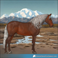Horse Color:Silver Bay 
