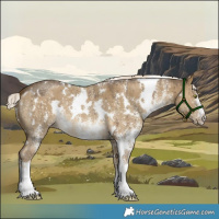 Horse Color:White Spotted Chocolate Palomino Dun Mushroom Sabino Brindle 