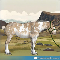 Horse Color:White Spotted Chocolate Palomino Dun Mushroom Sabino Brindle 