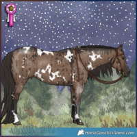 Horse Color:White Spotted Liver Red Dun Brindle
