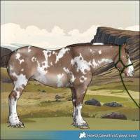 Horse Color:White Spotted Liver Red Dun Brindle 