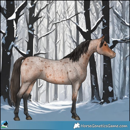 Horse Color:Bay Roan 