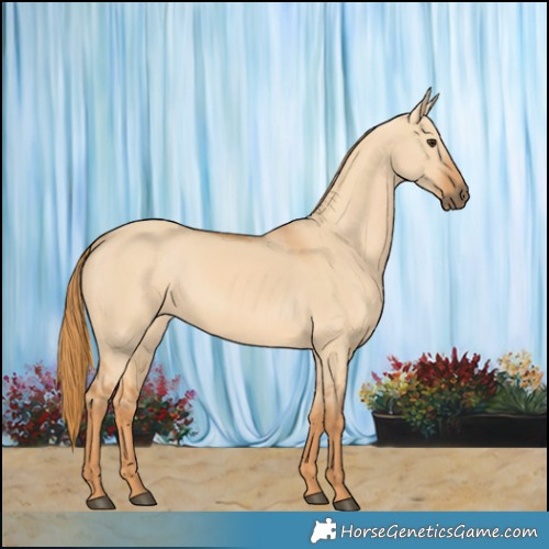 Horse Color:Red Dun 