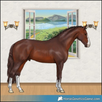 Horse Color:Chocolate Bay 