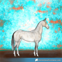 Horse Color:Buckskin Roan Dun Sabino Rabicano Brindle 