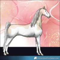 Horse Color:Silver Classic Champagne Dun Splash Frame 