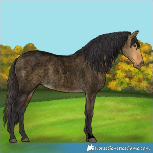 Horse Color:Void Buckskin Roan Dun 