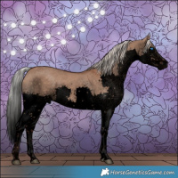 Horse Color:Void White Spotted Silver Grullo Splash