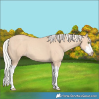 Horse Color:Silver Classic Champagne Dun Splash Frame 