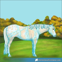Horse Color:Thunderstruck Palomino Dun Blanket 