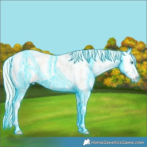 Horse Color:Thunderstruck Smoky Creme Roan Dun Appaloosa 