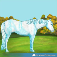 Horse Color:Thunderstruck Smoky Creme Roan Dun Near Leopard 