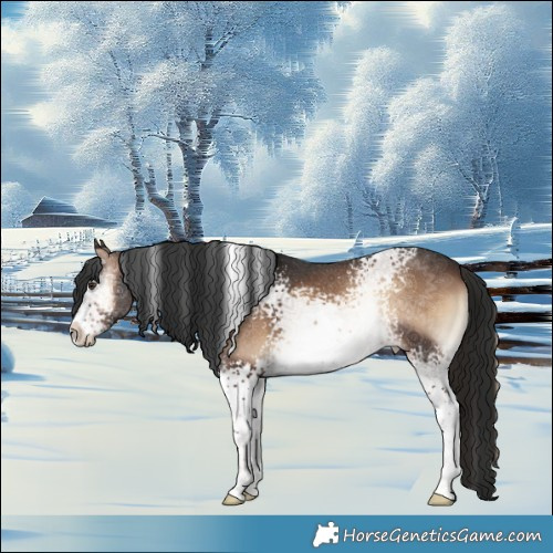 Horse Color:White Spotted Liver Red Onyx Rabicano 