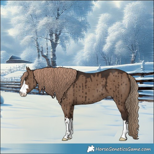 Horse Color:Liver Red Dun Brindle 