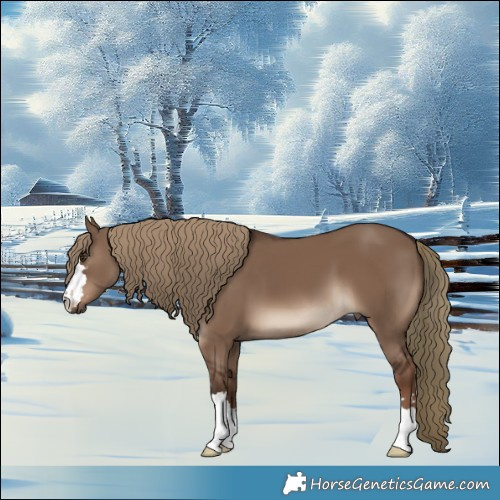 Horse Color:Liver Red Dun 