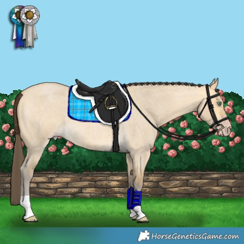 Horse Color:Amber Cream Champagne Roan Dun