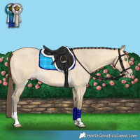 Horse Color:Amber Cream Champagne Roan Dun