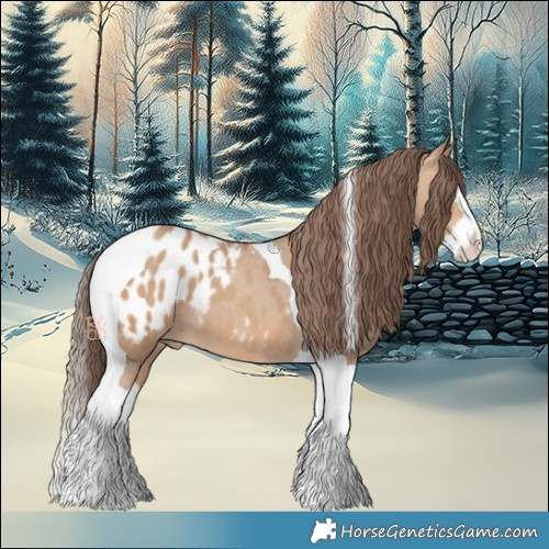 Horse Color:Amber Champagne Splash Tobiano Appaloosa 