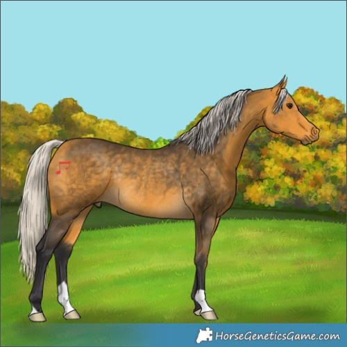 Horse Color:Silver Buckskin Rabicano 